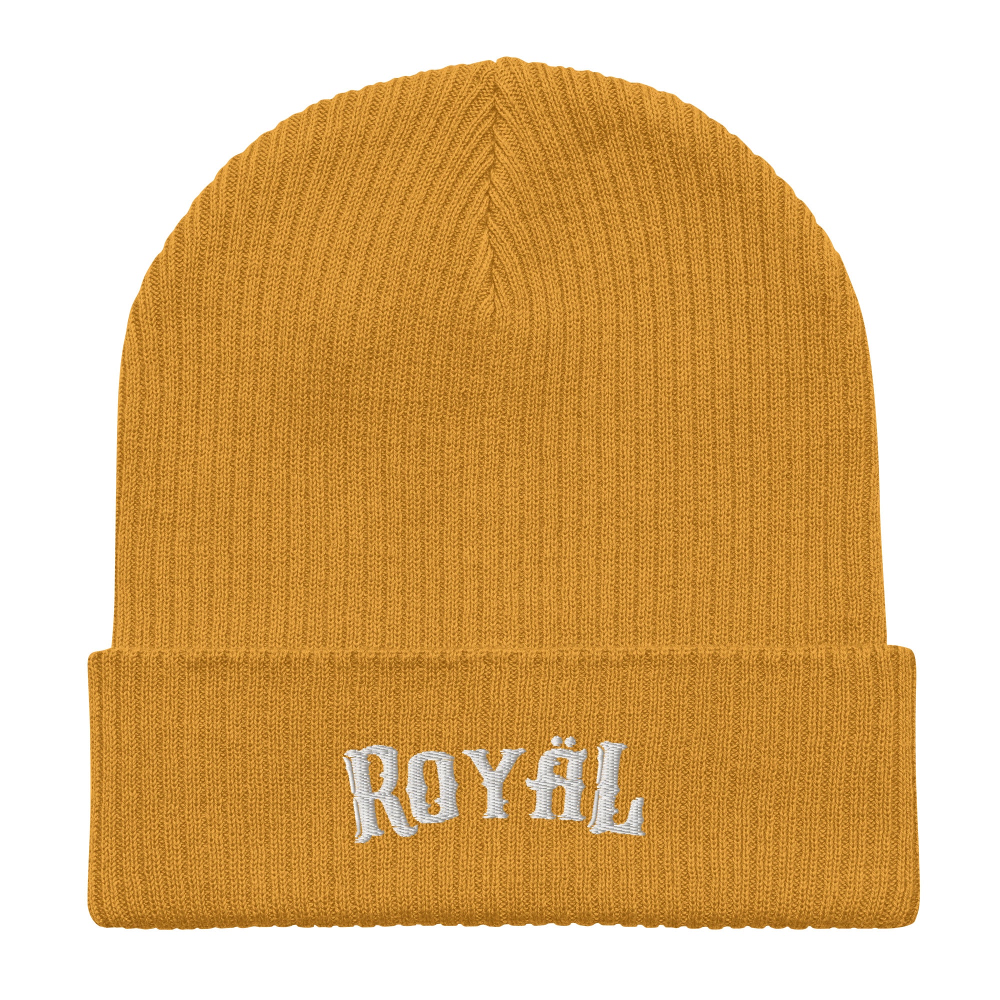 Winter Beanie Hat